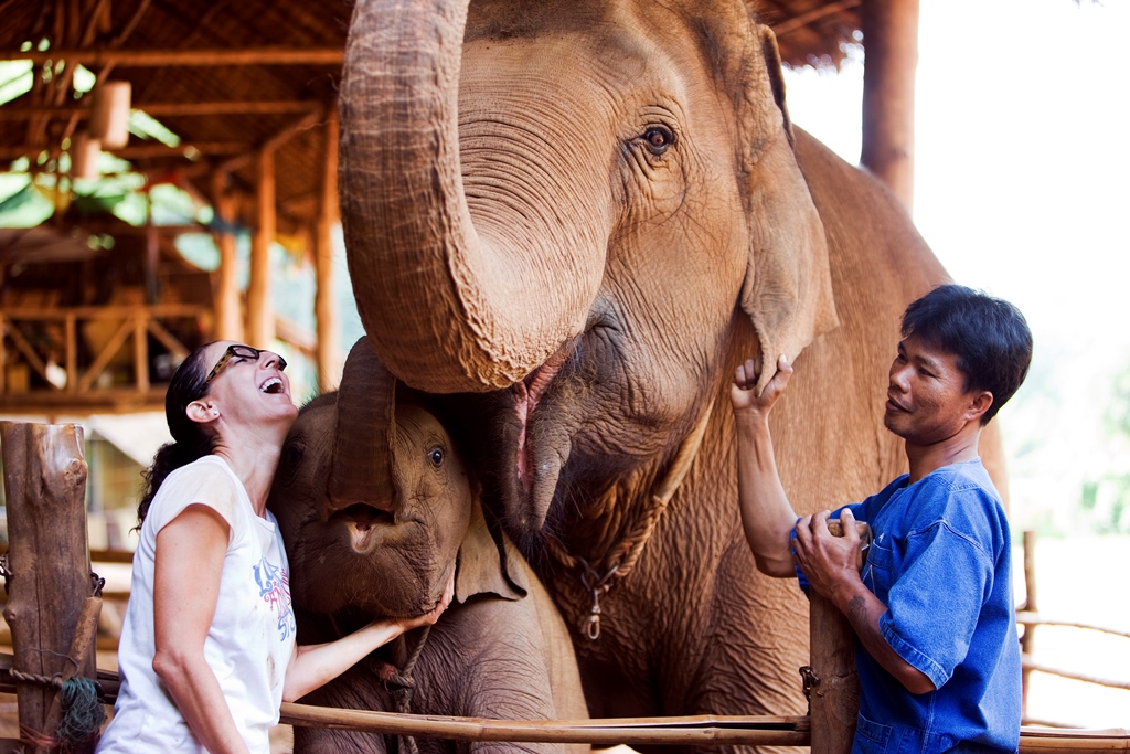 GTAEF werkt aan totaaloplossing voor Thaise olifanten
