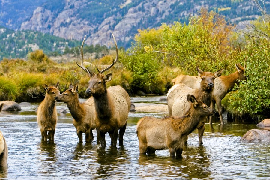 Rocky Mountain National Park viert 100e verjaardag