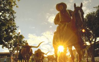 Texas viert cowboycultuur